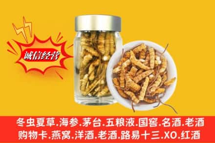 河源市连平回收散虫草