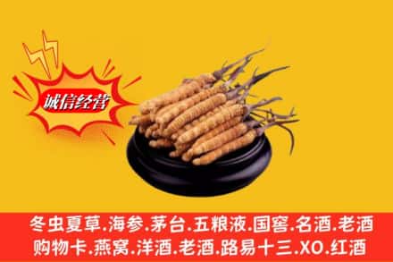 河源市连平名酒回收冬虫夏草.jpg